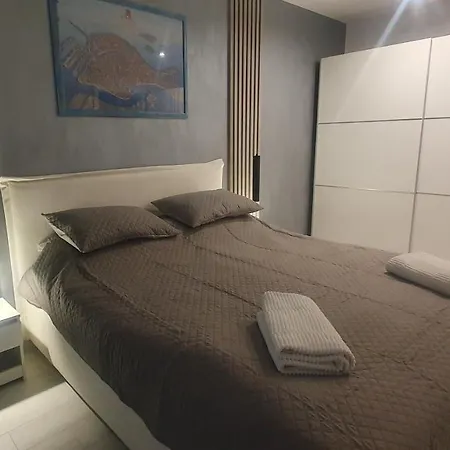 Coral Lux * Timişoara